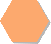 编制扫描报告