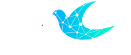 连接万物的信使